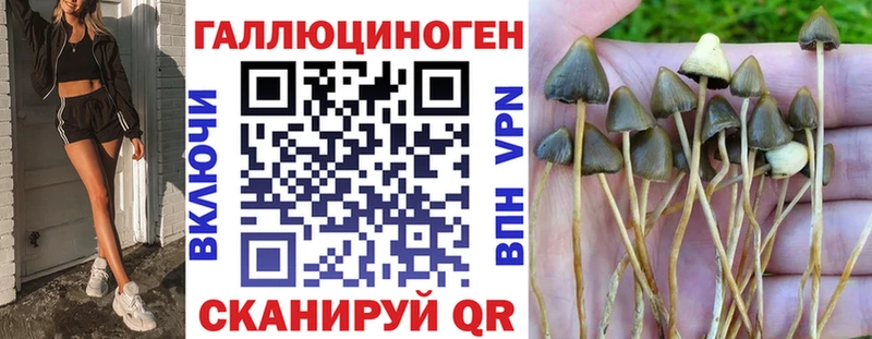 сколько стоит  Краснодар  Галлюциногенные грибы Magic Shrooms 
